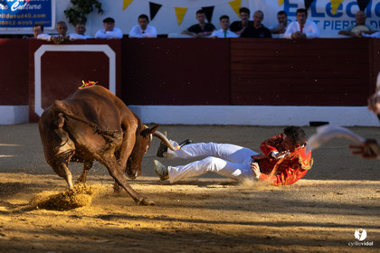 Aire-sur-l'Adour Championnat de France de course landaise 2023