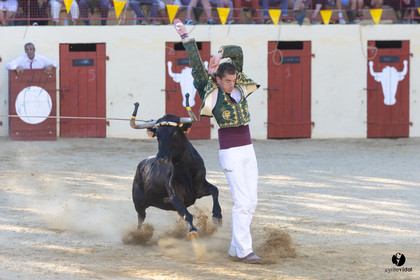 Course landaise