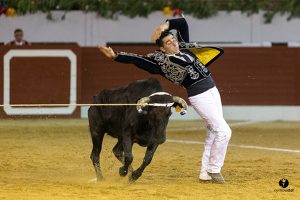 Aire sur l'Adour course landaise génération Aturine