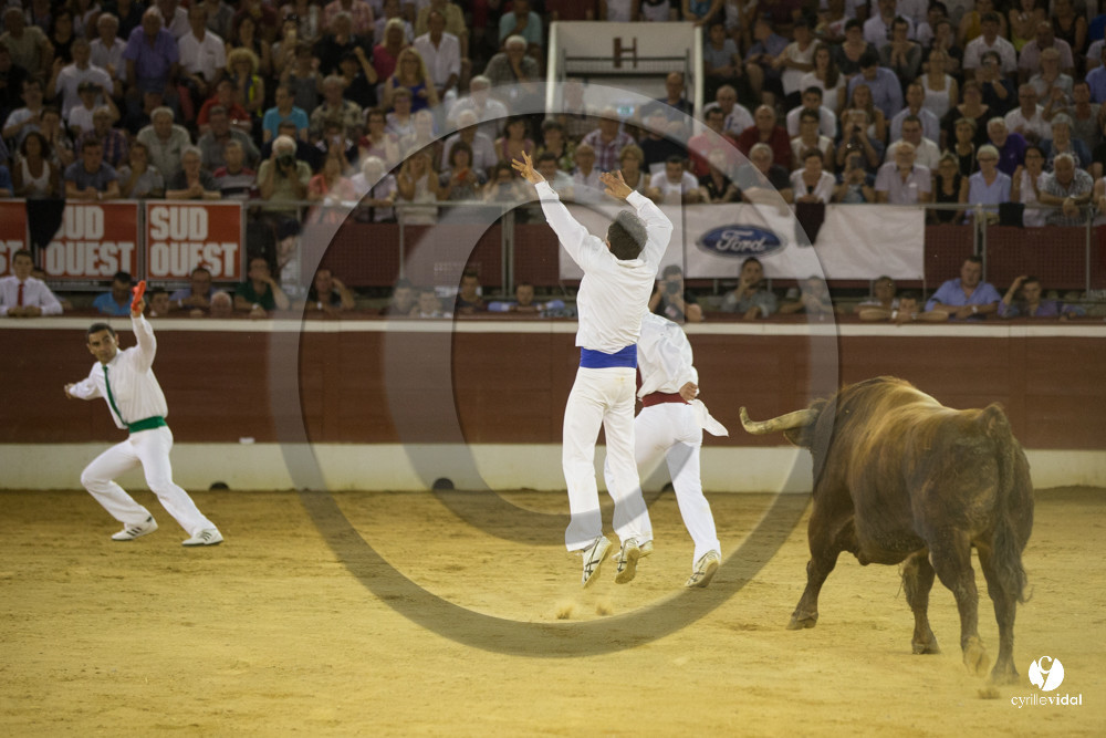 course landaise