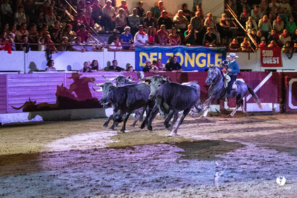 Landes émotions à Aire-sur-l'Adour