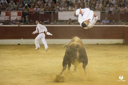 course landaise