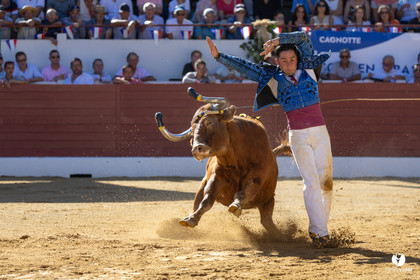 Aire-sur-l'Adour Championnat de France de course landaise 2023