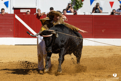 Aire-sur-l'Adour Championnat de France de course landaise 2023