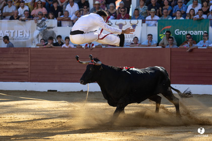 Aire-sur-l'Adour Championnat de France de course landaise 2023