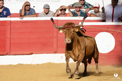 Nogaro Corne d'Or 2023