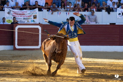 Aire-sur-l'Adour Championnat de France de course landaise 2023