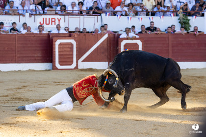 Aire-sur-l'Adour Championnat de France de course landaise 2023