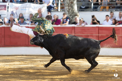Nogaro Championnat de France de course landaise 2022