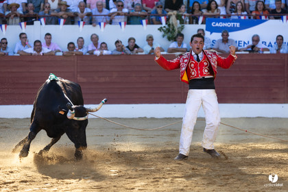 Aire-sur-l'Adour Championnat de France de course landaise 2023