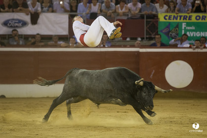 course landaise
