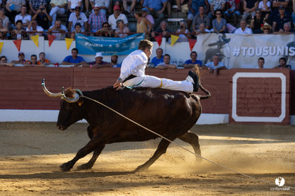 Aire-sur-l'Adour Championnat de France de course landaise 2023