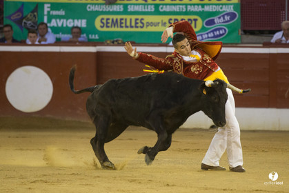 course landaise