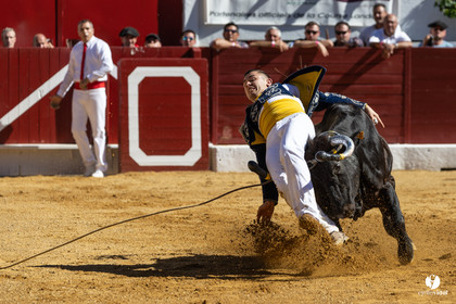 Aire-sur-l'Adour Championnat de France de course landaise 2023