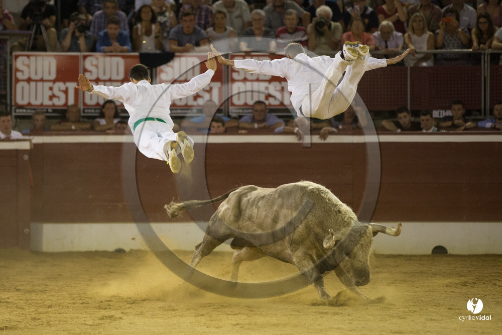 course landaise