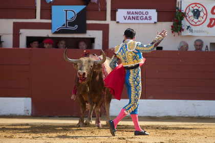 corrida, toro, vic fezensac, alcurrucen, michelito, morenito de aranda