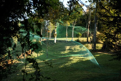 2008-10-24-0713.jpg
