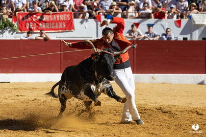 Aire-sur-l'Adour Championnat de France de course landaise 2023