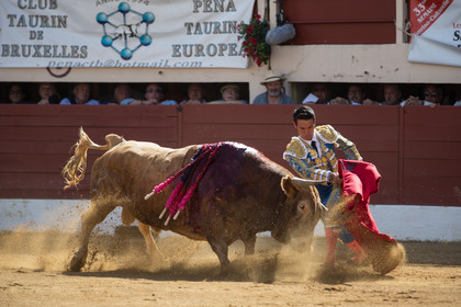 corrida, toro, vic fezensac, alcurrucen, michelito, morenito de aranda