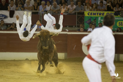 course landaise