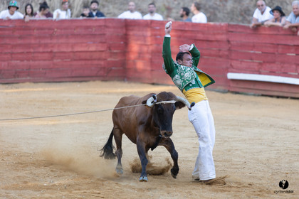 Course landaise à Panjas