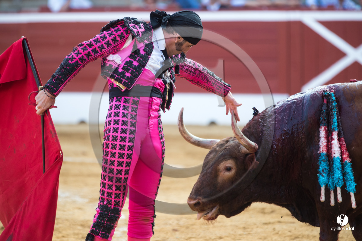Mont-de-Marsan corrida de Jandilla pour Padilla - Talavante - Roca Rey