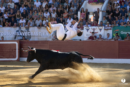 Aire-sur-l'Adour Championnat de France de course landaise 2023