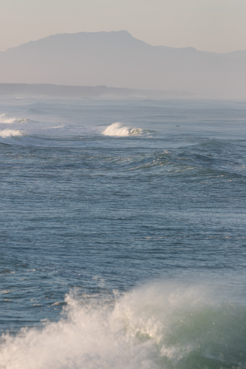 Paysages des Landes