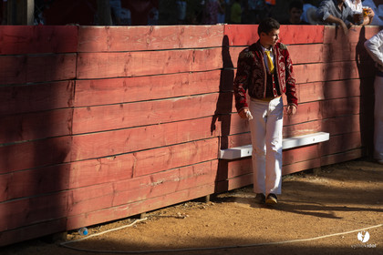 Course landaise à Panjas