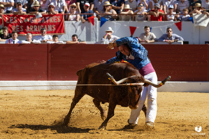 Aire-sur-l'Adour Championnat de France de course landaise 2023