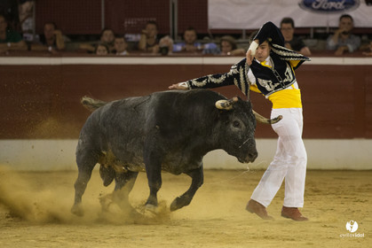course landaise