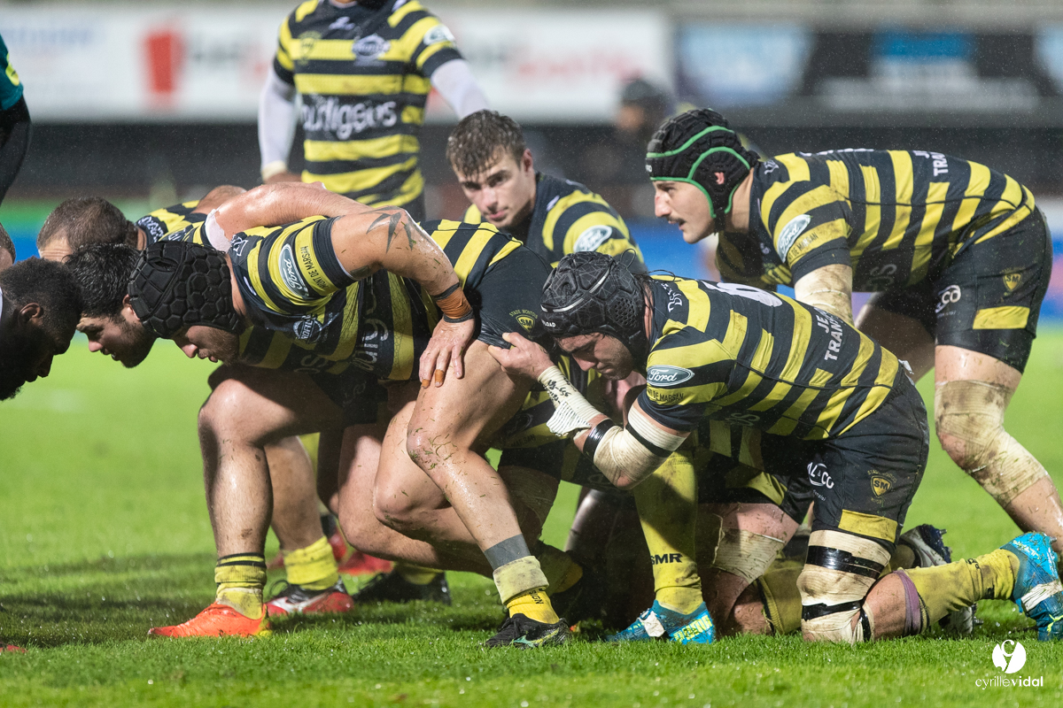 Stade Montois Rugby - Provence