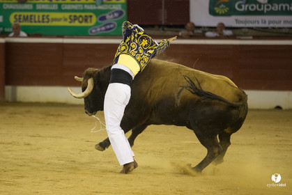 course landaise