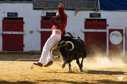 Nogaro Championnat de France de course landaise 2022