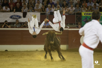 course landaise