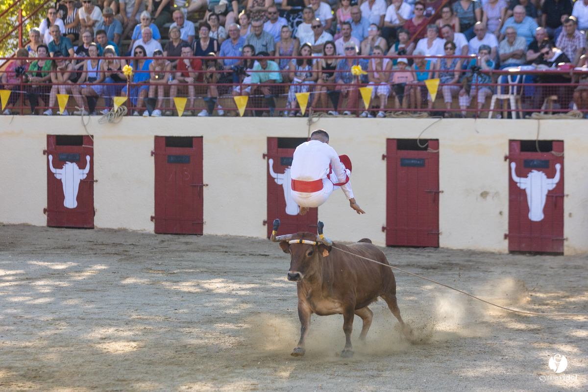 Course landaise