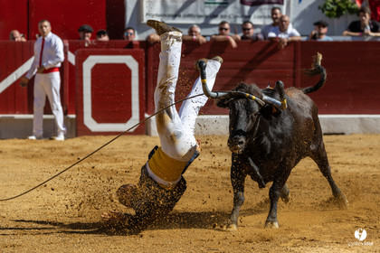 Aire-sur-l'Adour Championnat de France de course landaise 2023