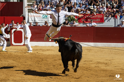 Aire-sur-l'Adour Championnat de France de course landaise 2023
