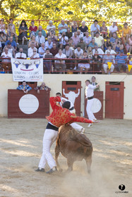 Course landaise