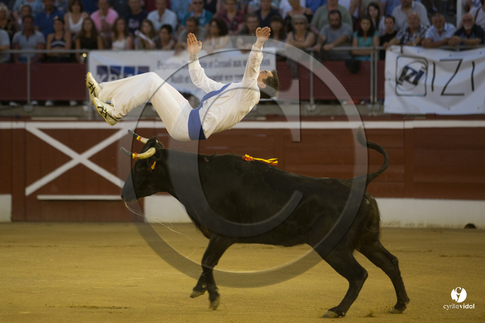 course landaise