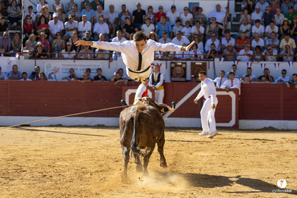 Aire-sur-l'Adour Championnat de France de course landaise 2023