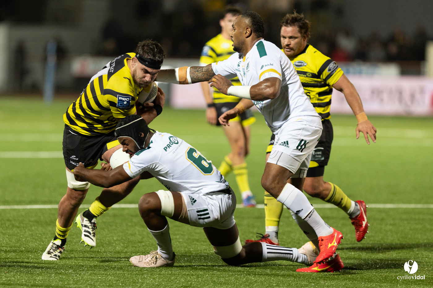 Stade Montois Rugby - Montauban