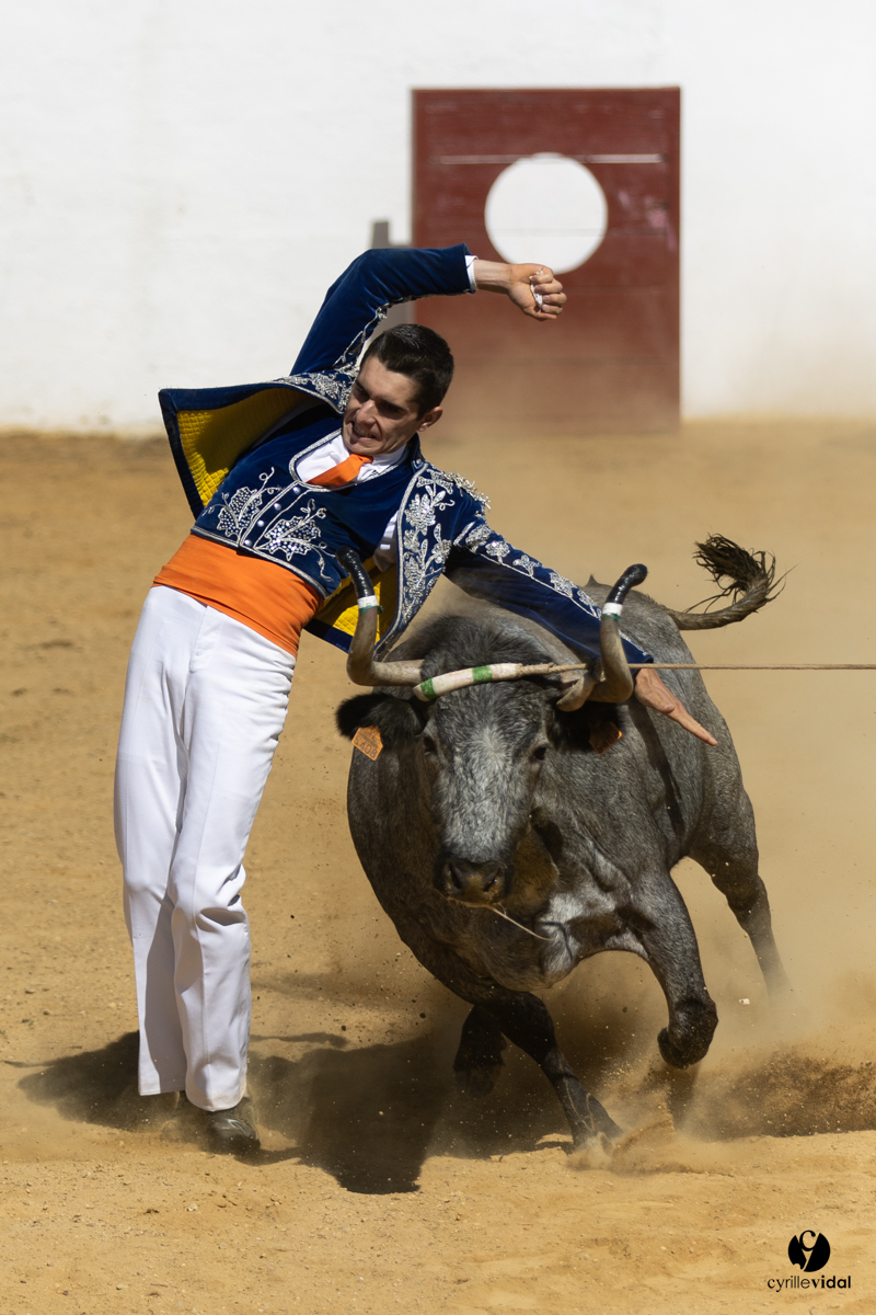 Saint-Cricq Chalosse course landaise de promotion Ganadéria Deyris Cuadrilla Jérémy Lafitte Saint-Cricq Chalosse course landaise de promotion Ganadéria Deyris Cuadrilla Jérémy Lafitte
