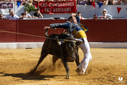 Aire-sur-l'Adour Championnat de France de course landaise 2023