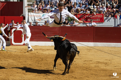 Aire-sur-l'Adour Championnat de France de course landaise 2023