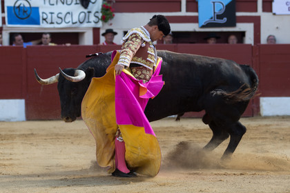 corrida, toro, vic fezensac, alcurrucen, michelito, morenito de aranda