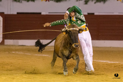Aire sur l'Adour course landaise génération Aturine