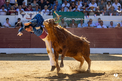 Aire-sur-l'Adour Championnat de France de course landaise 2023