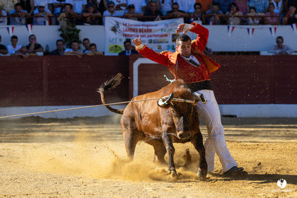 Aire-sur-l'Adour Championnat de France de course landaise 2023