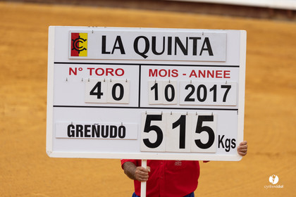 1488.jpg